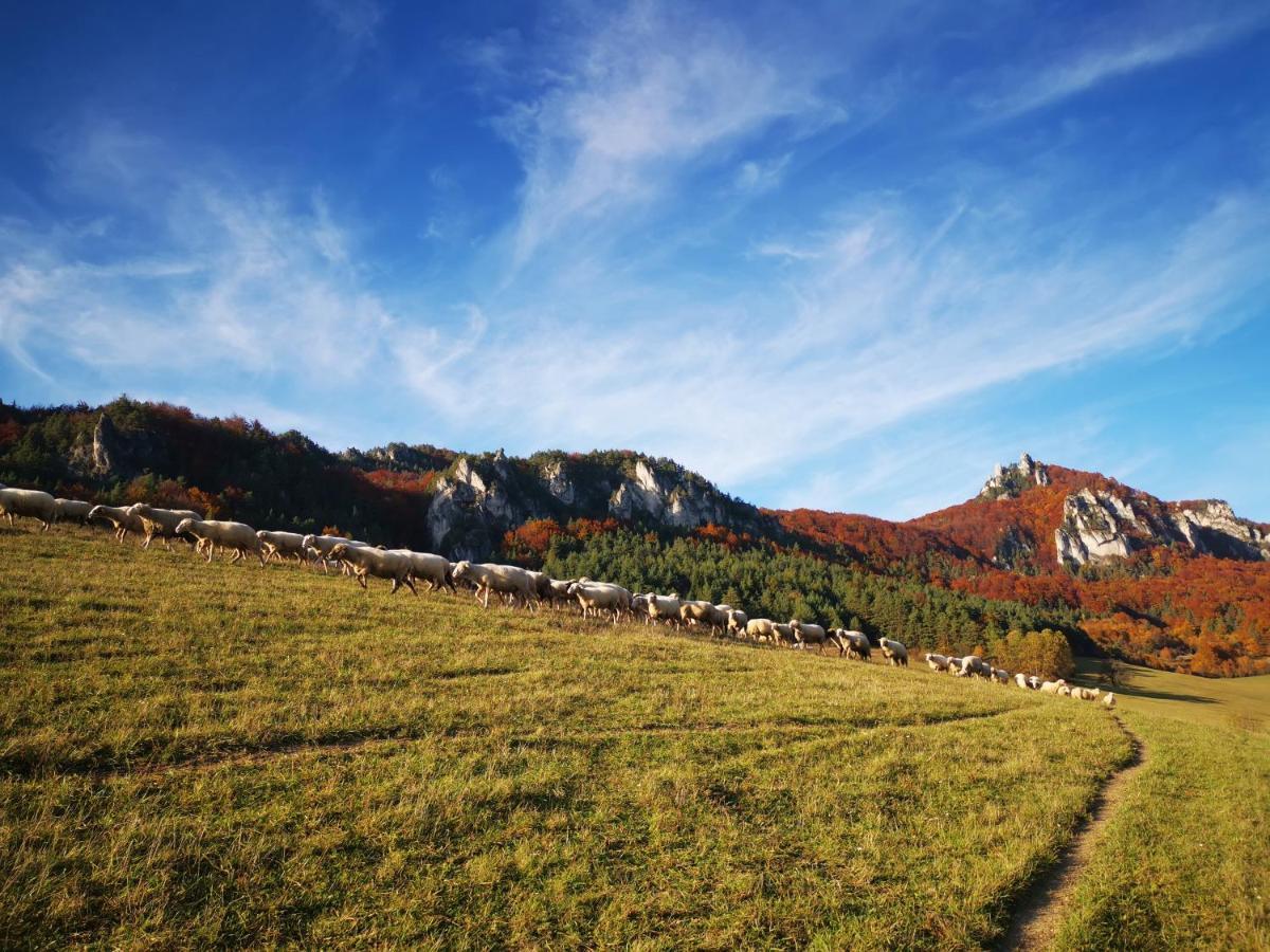 Vila Koliba Pod Skalami Sulov Exteriér fotografie